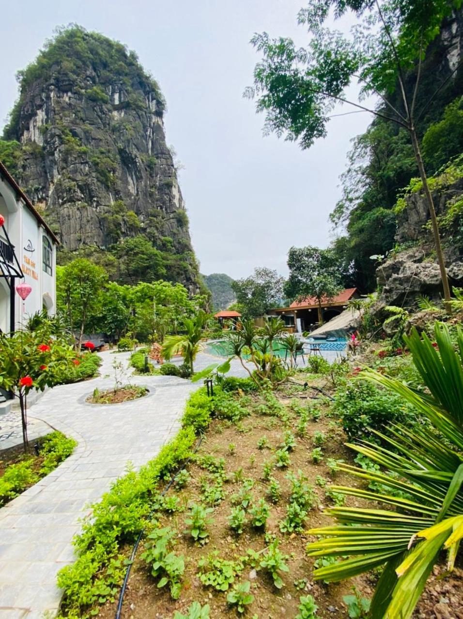 Tam Coc Galaxy Villa 닌빈 외부 사진
